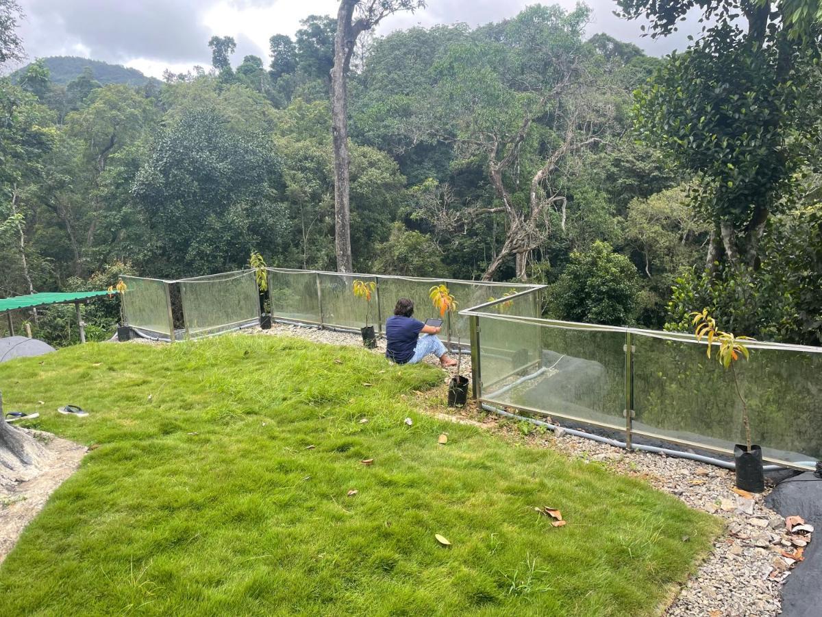 Rai'S Coorg Cave House Villa Madikeri Kültér fotó