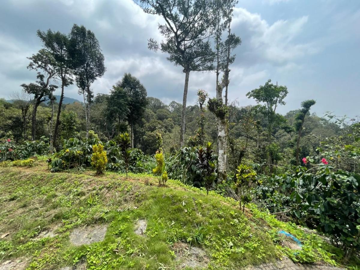 Rai'S Coorg Cave House Villa Madikeri Kültér fotó
